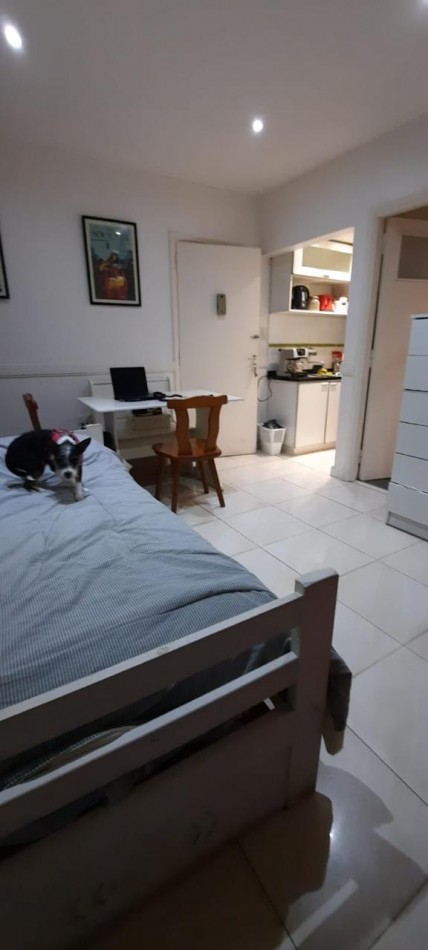 DEPARTAMENTO DE UN AMBIENTE CON PATIO